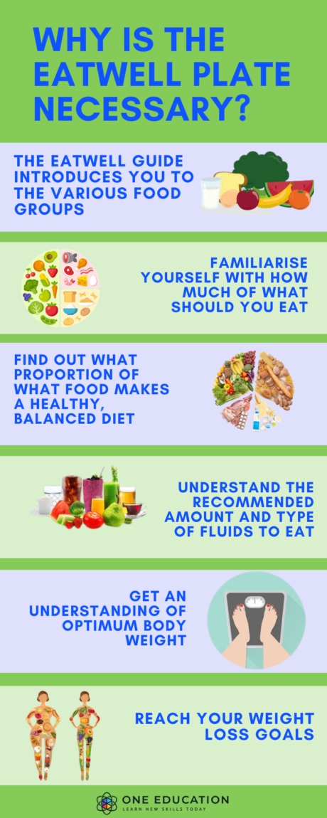 Eatwell Plate: Top Tips For Healthy Diet – One Education