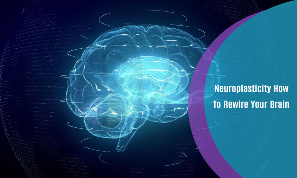 Neuroplasticity: How To Rewire Your Brain – One Education