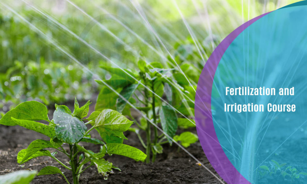 Fertilization-and-Irrigation-Course – One Education