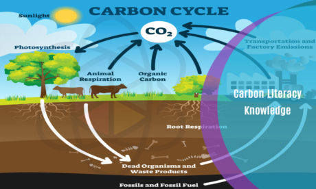 Carbon Literacy Knowledge – One Education