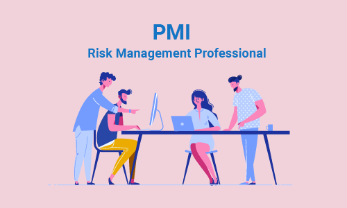 PMI-RMP Online Training