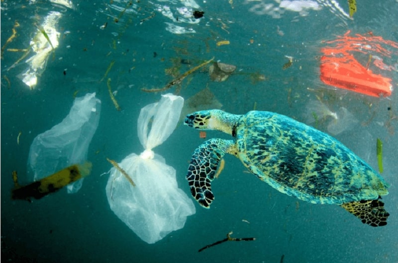 pollution for Recycling Symbols