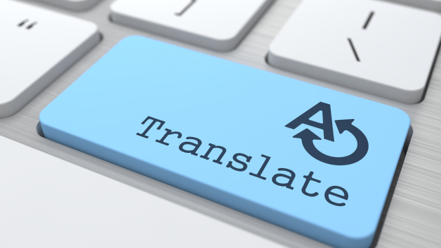 Translation Freelance Translator
