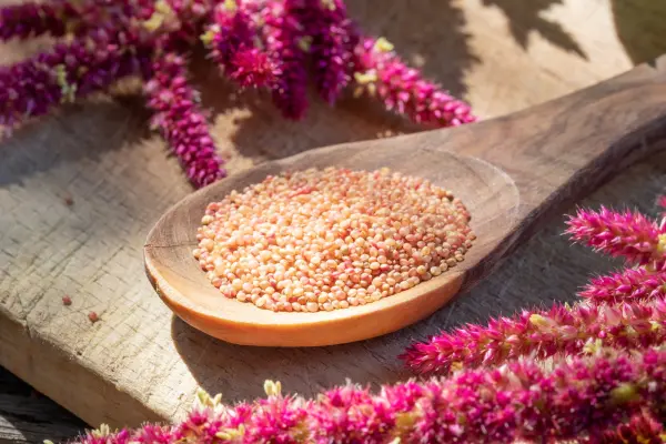 Amaranth is a delight for both your taste buds and waistline