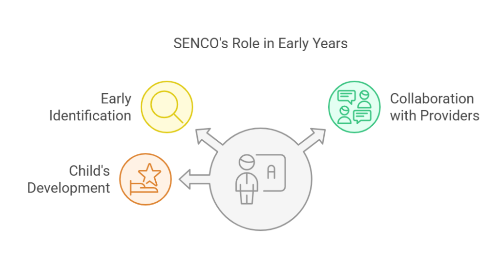 What is the Role of a SENCO in Early Years?